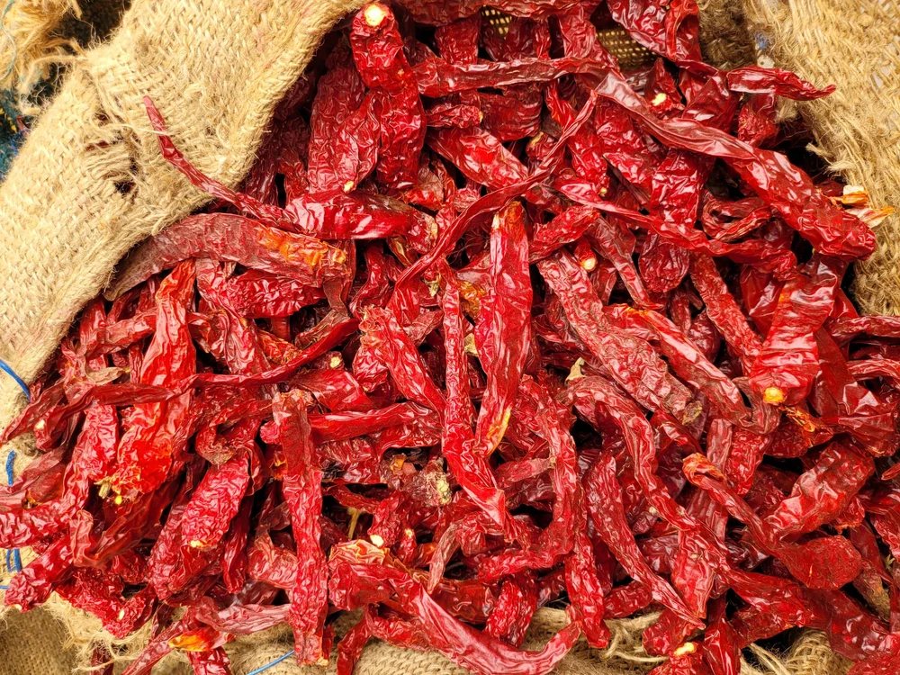 Byadgi dried red chillies heaped in a jute bag