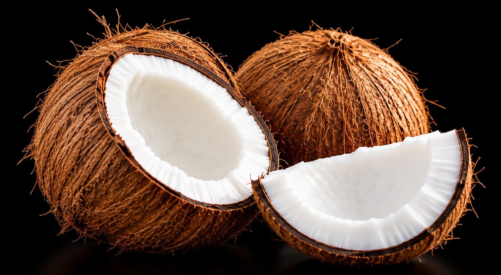 Premium fresh mature Indian coconuts on a black background