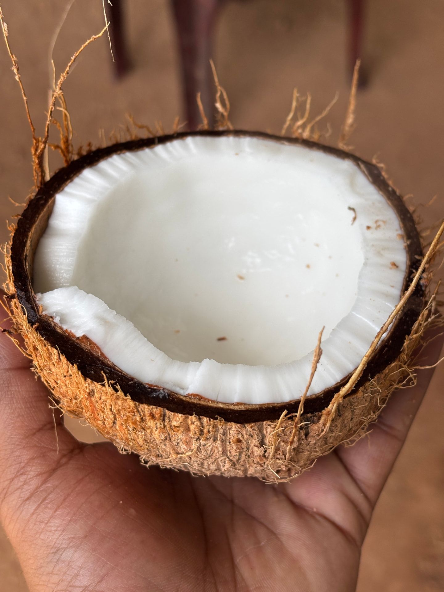 Halved fresh coconut showing thick white kernel