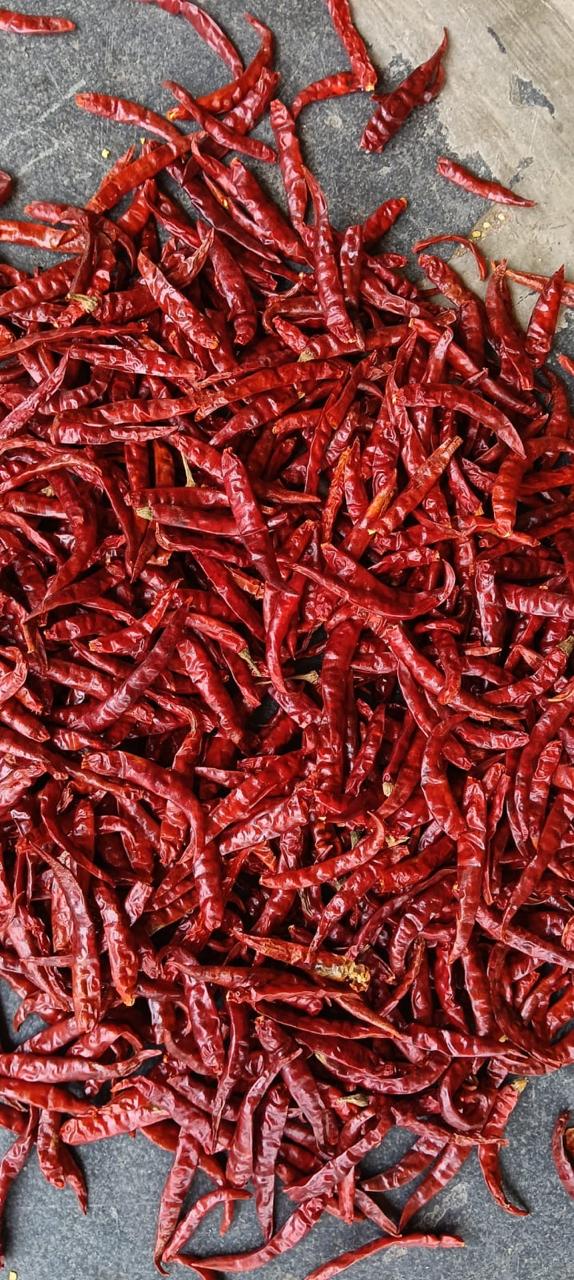 Dried red chilli lot 5
