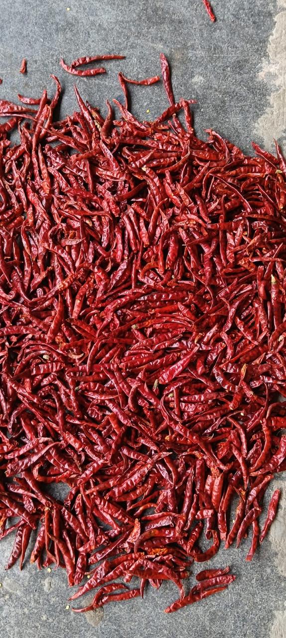 Dried red chilli lot 6