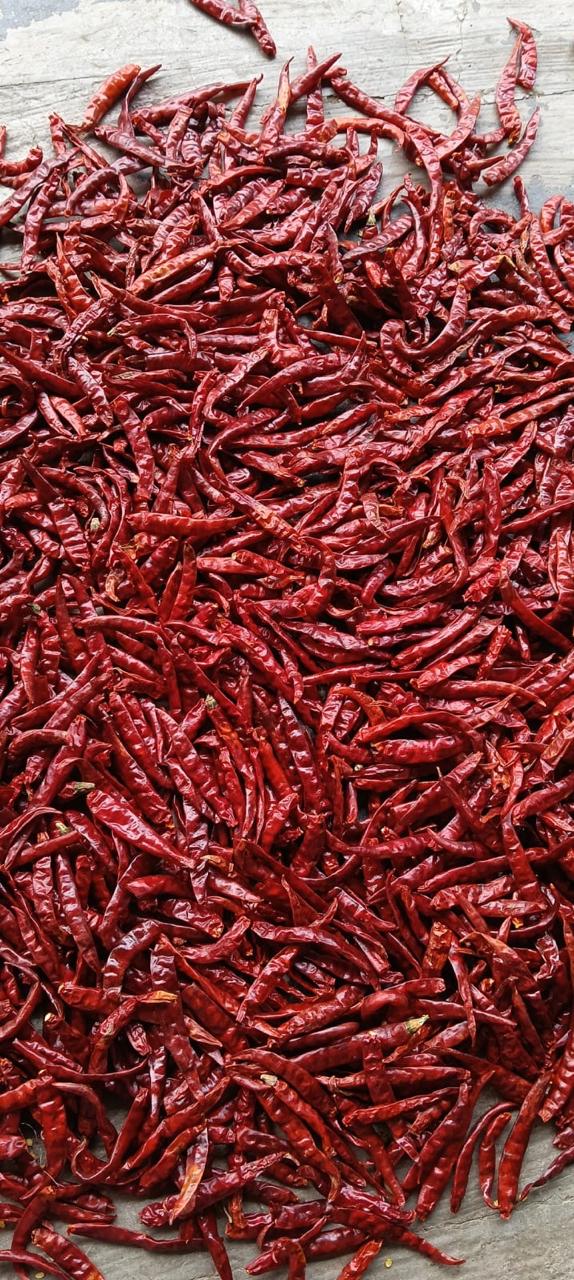 Dried red chilli lot 7