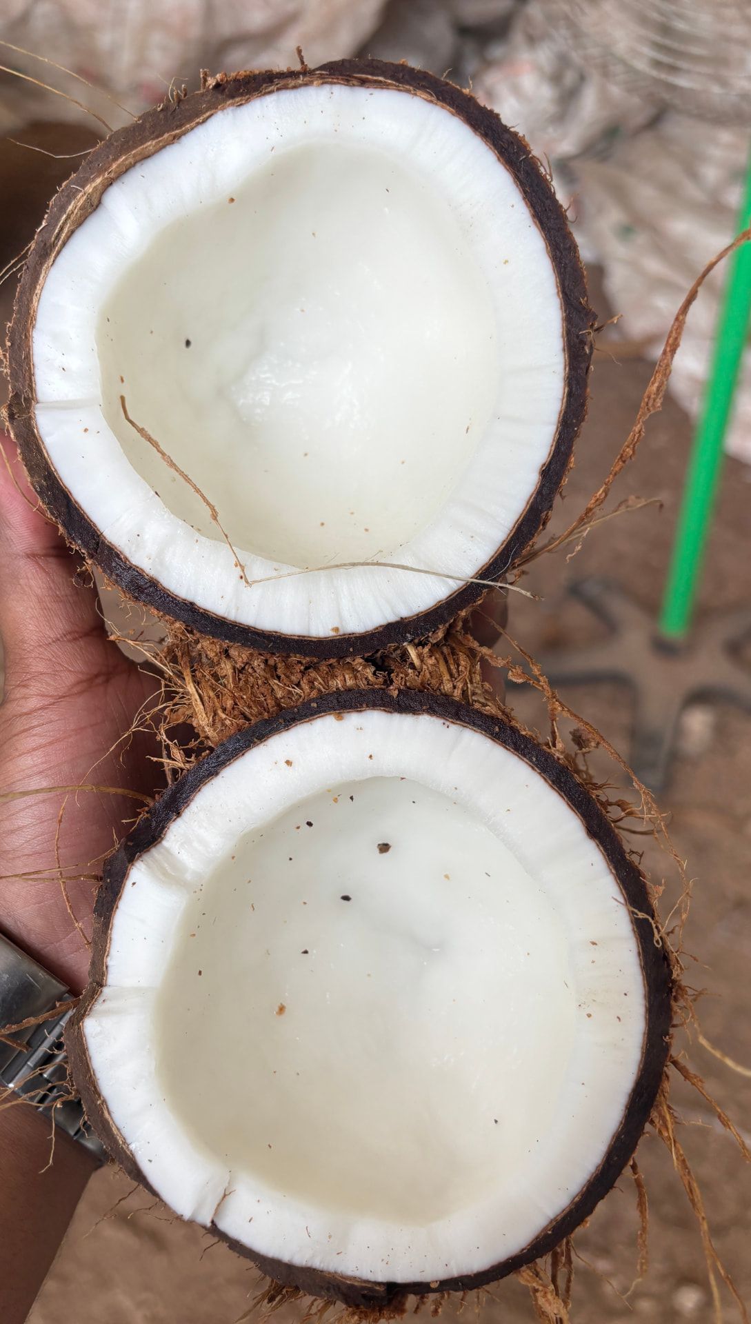 Freshly cut coconut halves