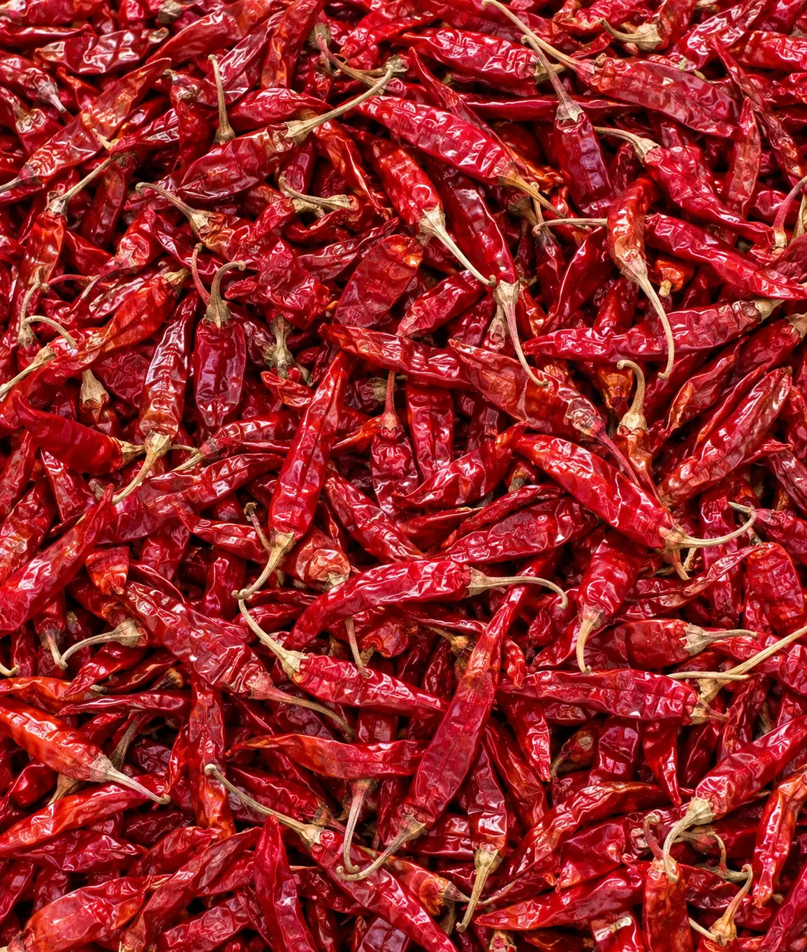 Red Chilli — export grade from SHIVEN GLOBAL