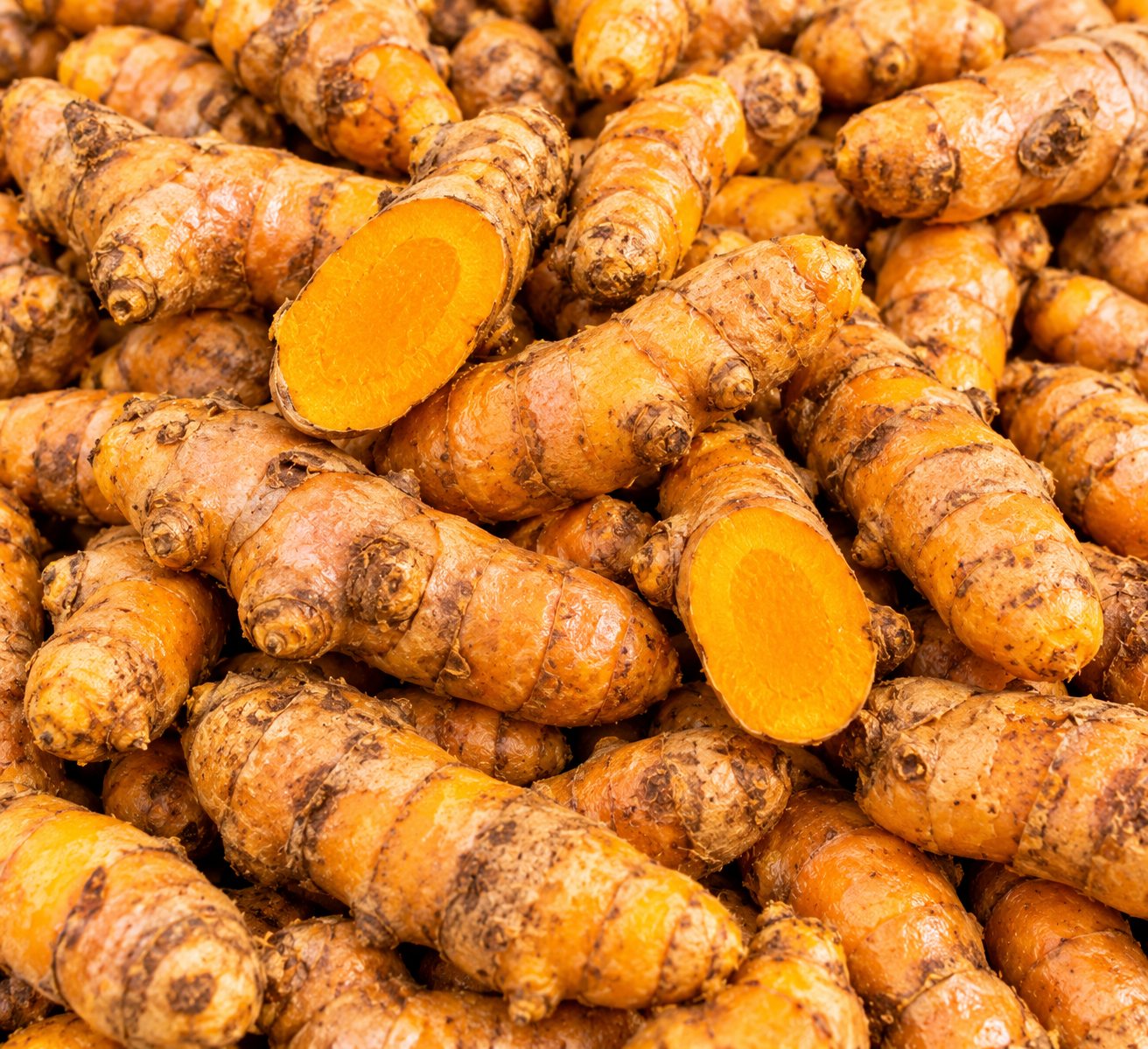 Turmeric — export grade from SHIVEN GLOBAL